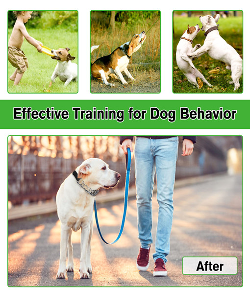 Petbank Dog Pinch Collar, Prong Dog Training Collar with Removable Quick-Release Buckle, Suitable for Small, Medium and Large Dogs(L)