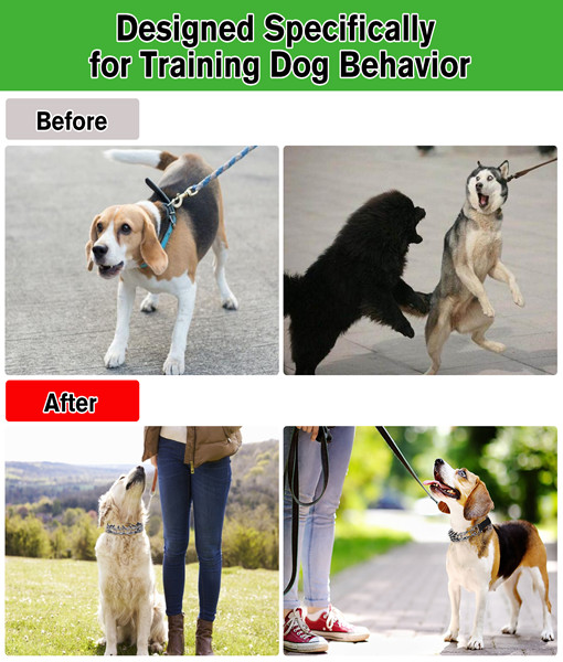 Petbank Dog Pinch Collar, Prong Dog Training Collar with Removable Quick-Release Buckle, Suitable for Small, Medium and Large Dogs(L)