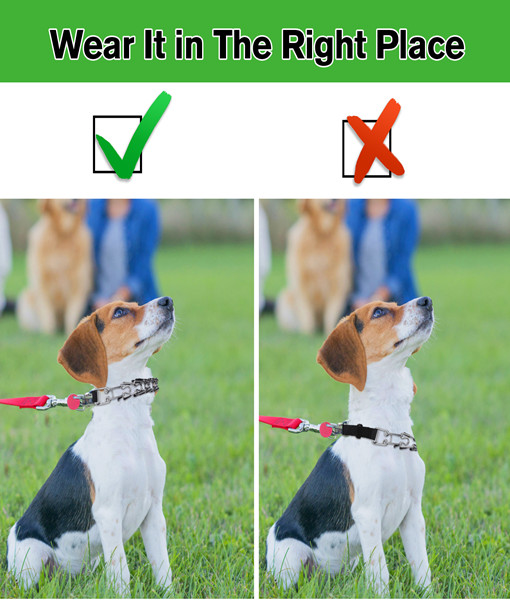 Petbank Dog Pinch Collar, Prong Dog Training Collar with Removable Quick-Release Buckle, Suitable for Small, Medium and Large Dogs(L)